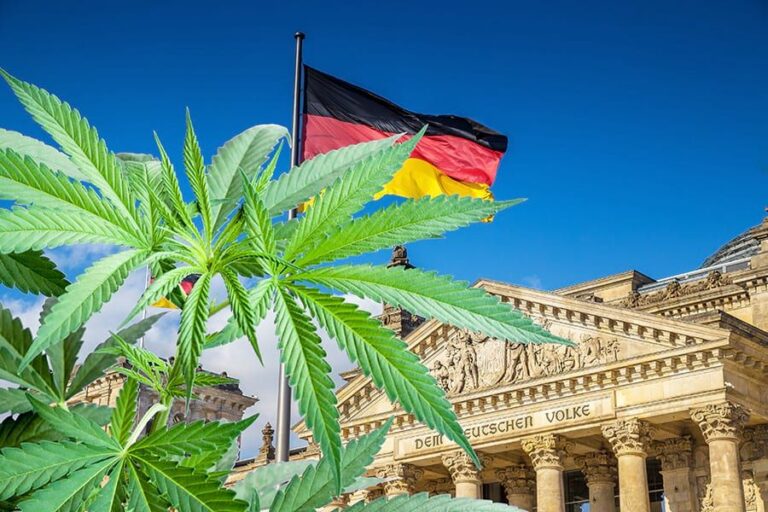 Wsi Imageoptim Germany Sets Up Cannabis Agency Www.endoca.com