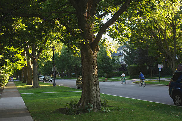 Suburban Street At Sunset With Tree And Cyclists