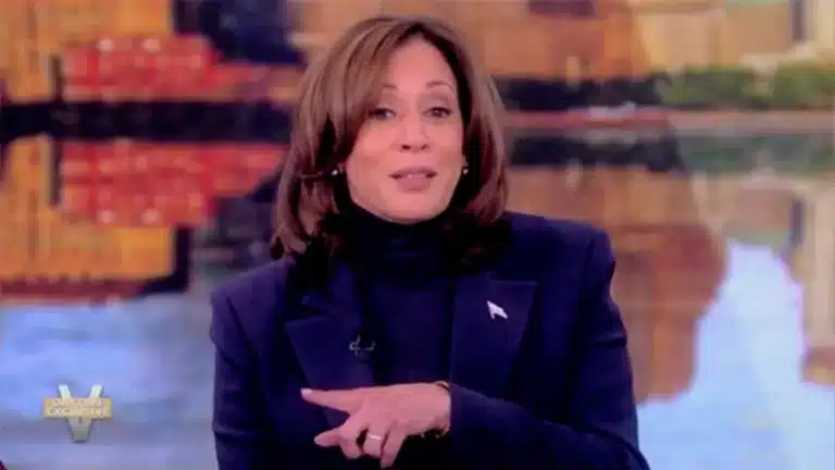 Kamala Harris The View Reelection